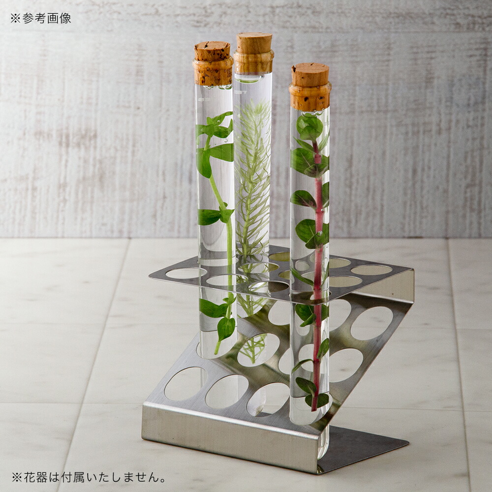 楽天市場】ステンレス製 試験管立て 12本用 関東当日便 : charm 楽天