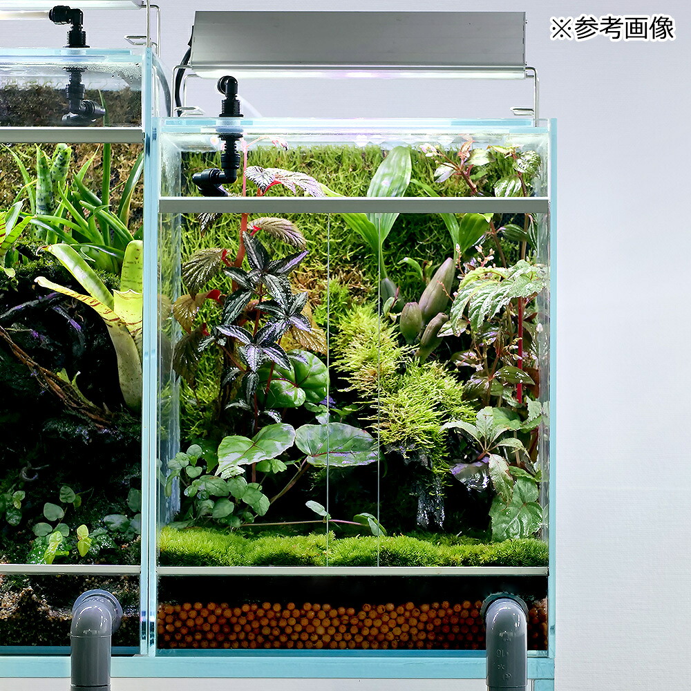 楽天市場】ビバリウム用 植栽シート PLANTING SEAT