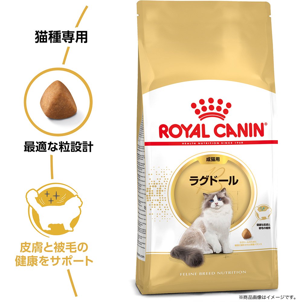 楽天市場】ロイヤルカナン 猫 ラグドール 成猫用 生後12ヵ月齢から