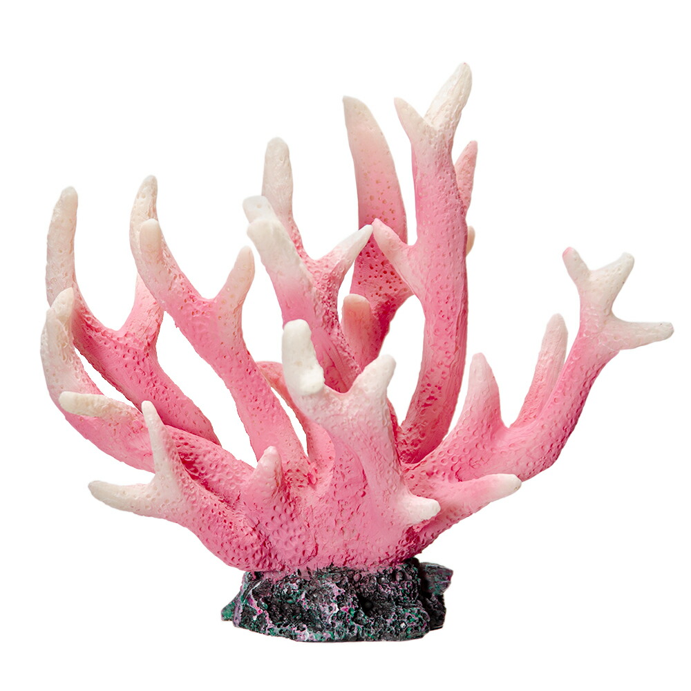 楽天市場】ゼンスイ ZEST レプリカサンゴ M−8 ピンクホワイト