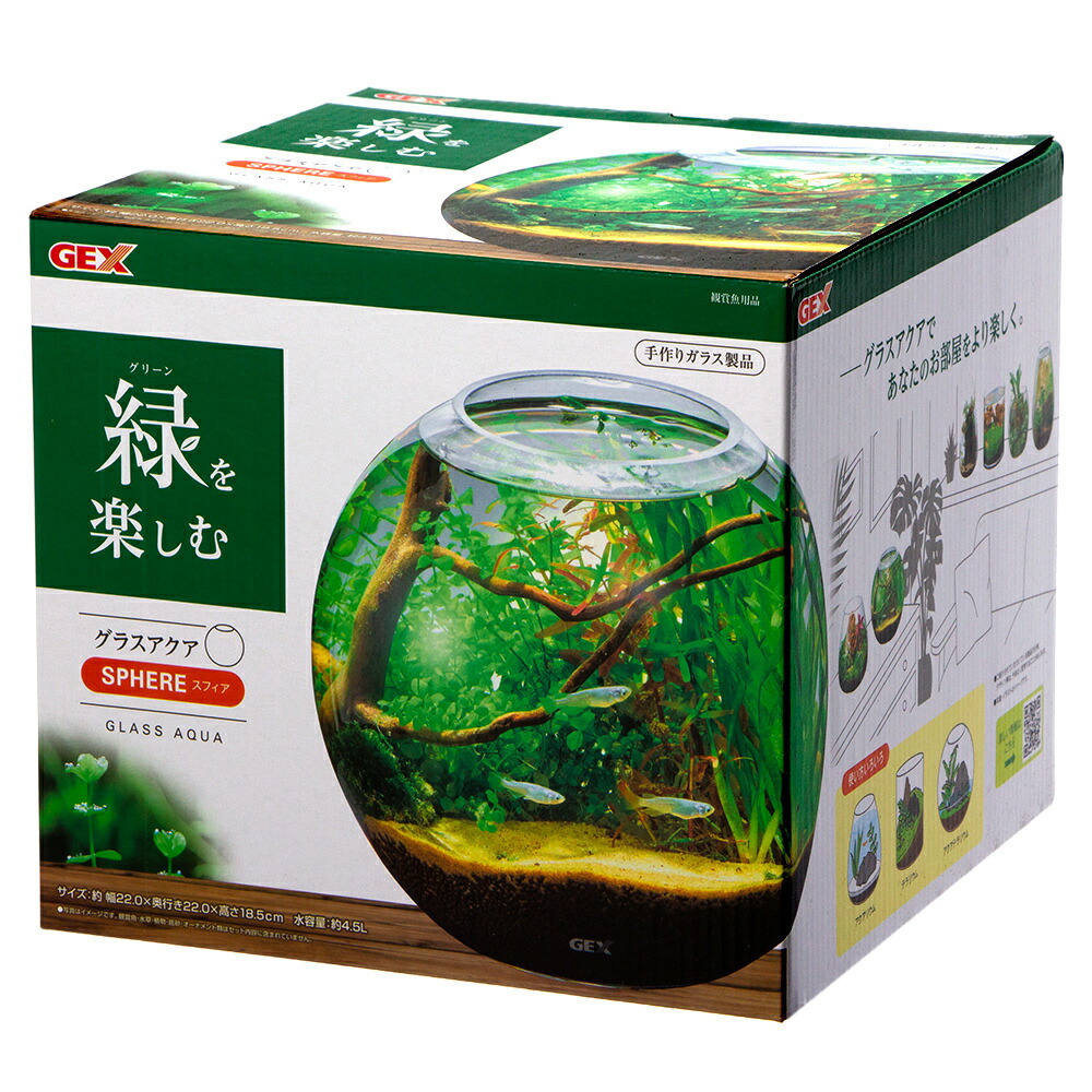 楽天市場】GEX グラスアクア スフィア N 22cm テラリウム 小型