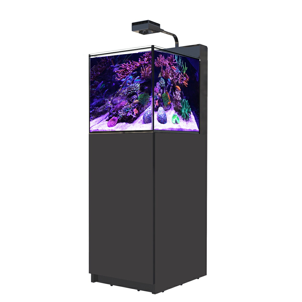 楽天市場】60Hz レッドシー MAX NANO G2 ペニンシュラ