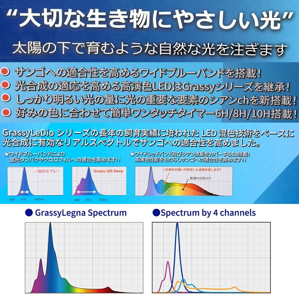 楽天市場】ボルクスジャパン Grassy Legna Marine