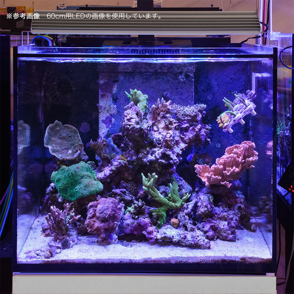 シュウサン専用アクロ TRIANGLE LED BRIGHT 900 シュウサン専用アクロ