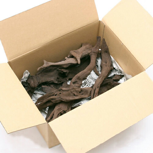 楽天市場】形状お任せ 煮込み済み 上質流木 雅 サイズミックス（約25