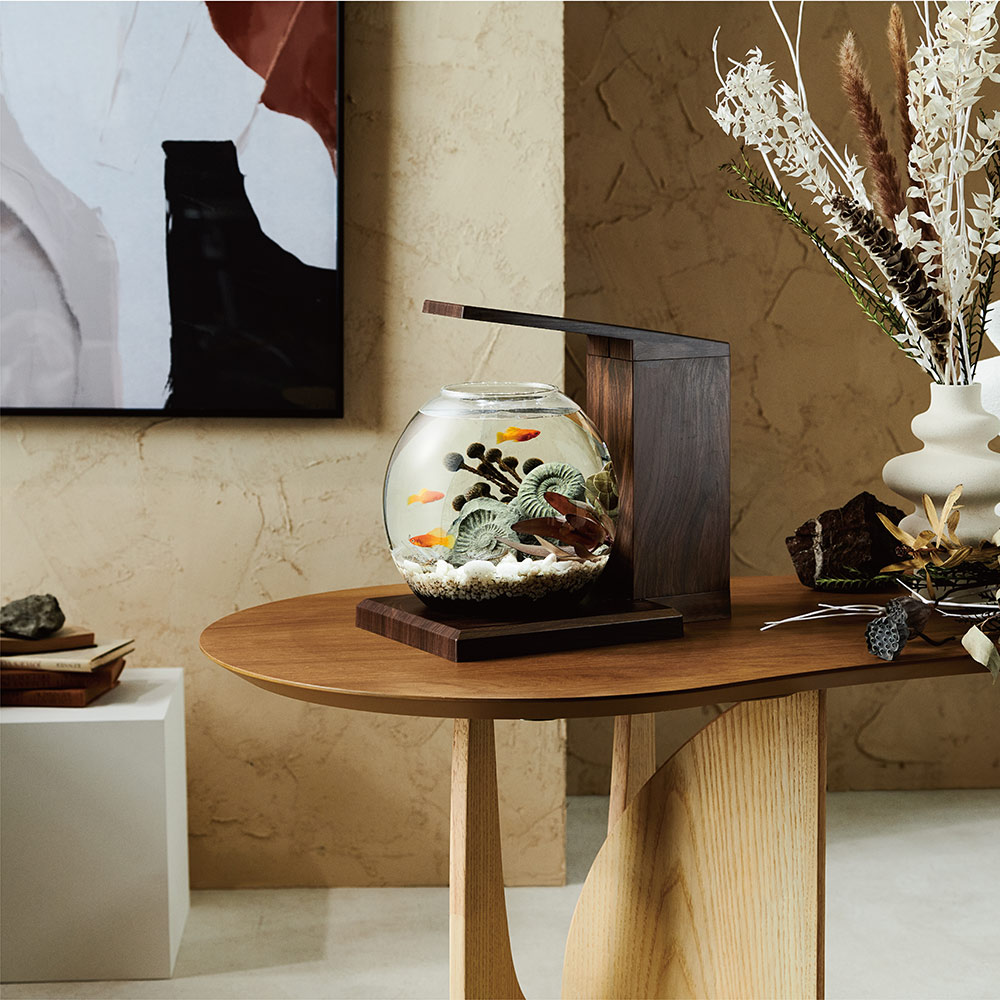 楽天市場】GEX 水槽セット グラスアクア PERCO B−Dark