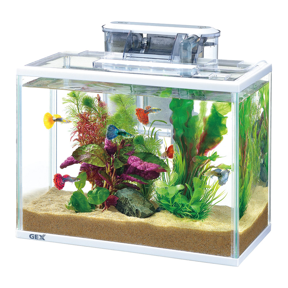 専用 ⚫︎GEX ガラス水槽 セット フィルター バラ売り可 専用 ⚫︎GEX