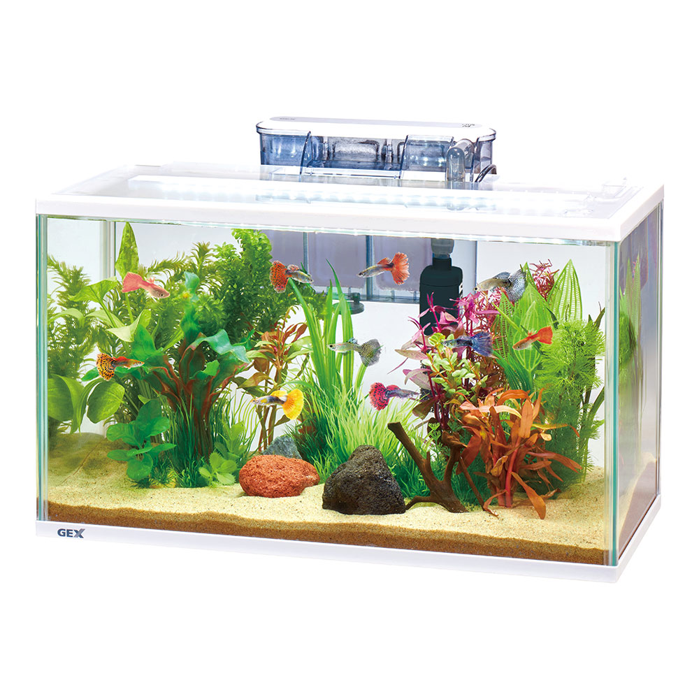 ming、水槽用フィルターアクセサリーセット ming、水槽用フィルター