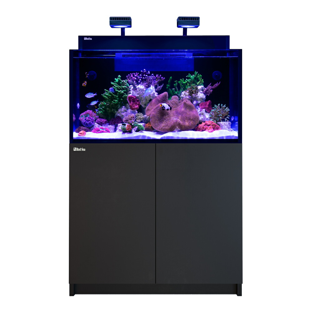 GEX LED 照明 海水水槽 FLUVAL SEA MARINE NANO 【公式通販】