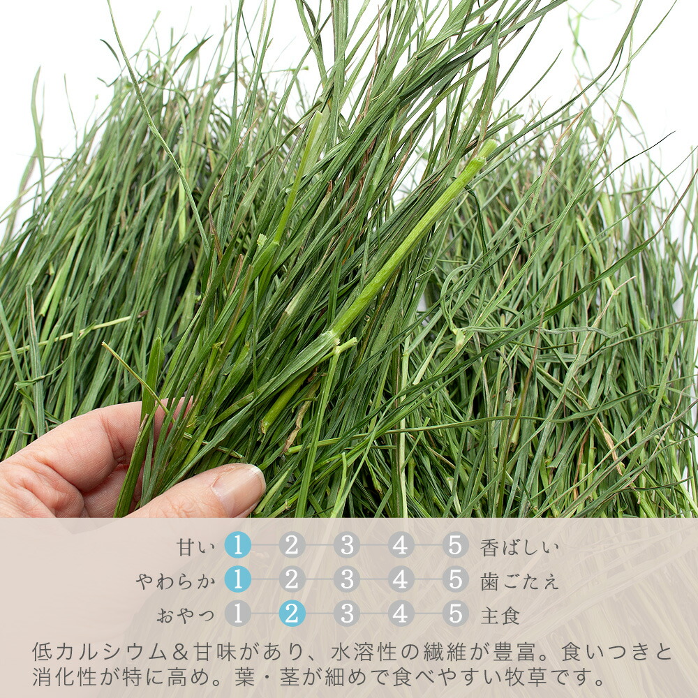 楽天市場】令和7年産 国産牧草 やみつきイタリアンライグラス