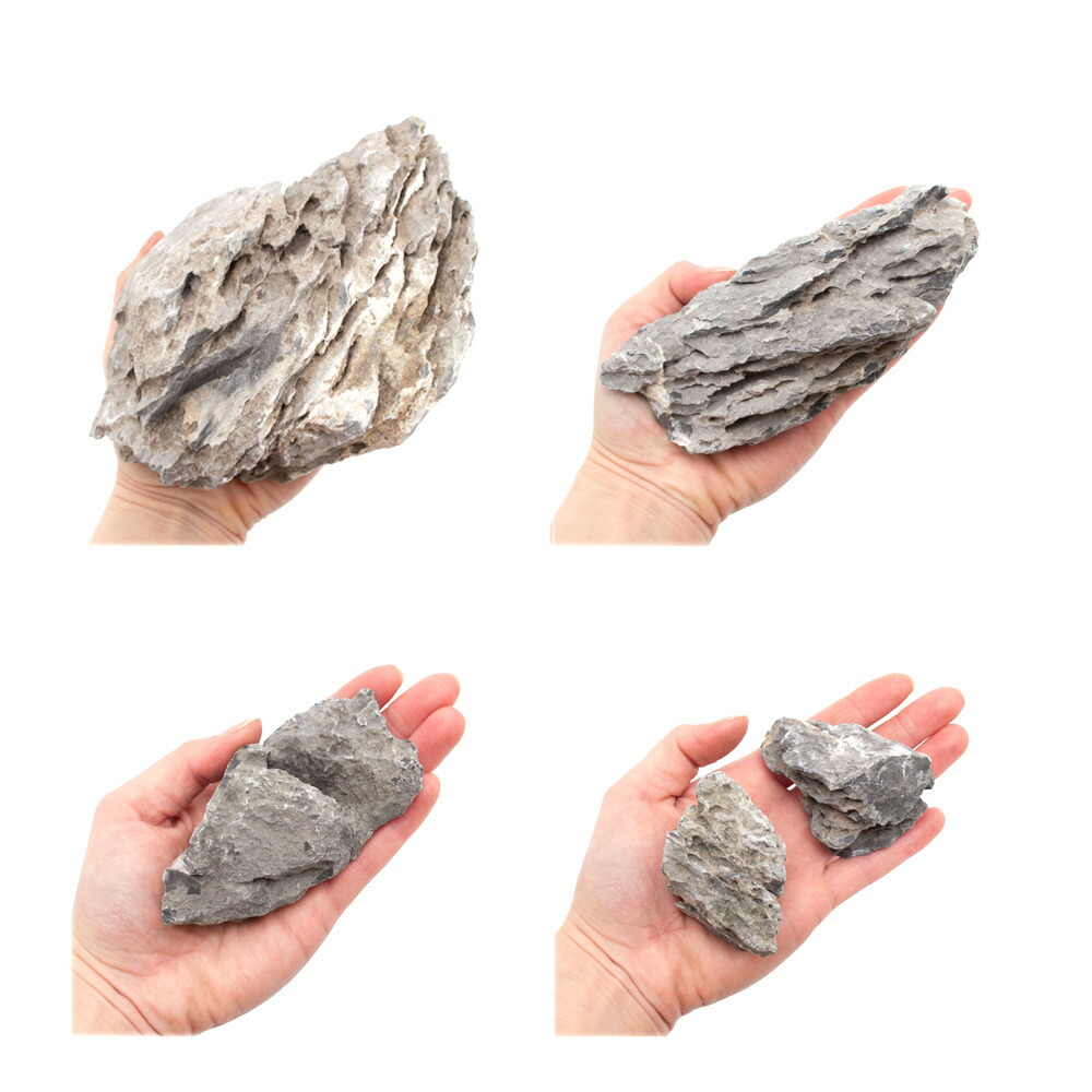 楽天市場】形状お任せ 青龍石 サイズミックス 3kg 30cm水槽向け