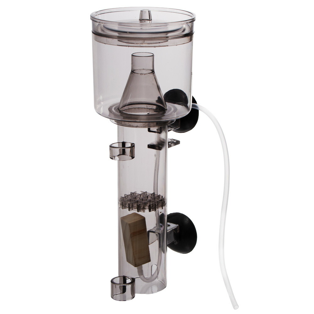 楽天市場】エアリフト式 プロテインスキマー 関東当日便 : charm 楽天