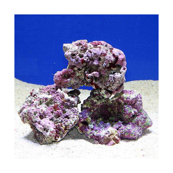 ✐プラグ穴付き 新品 人工ライブロック 60cm海水水槽用 レプリカ 安い1