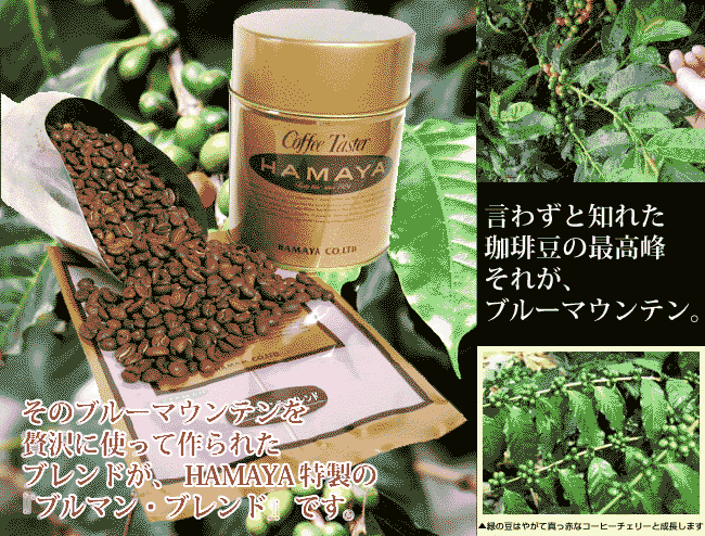 楽天市場】ブルーマウンテン No.1ブレンド 50g ブルーマウンテンNo.1