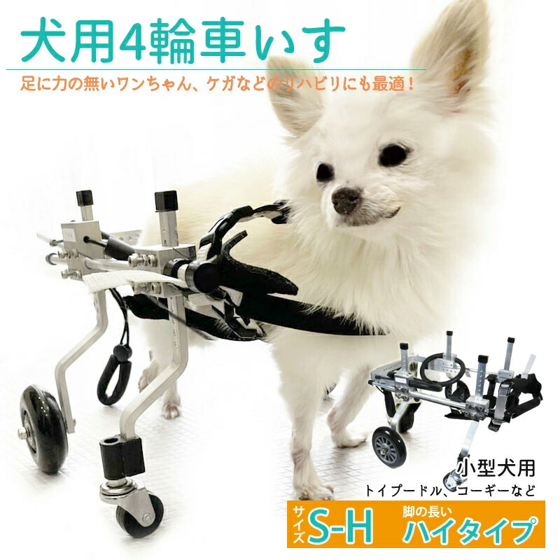 楽天市場】【2個で4%off☆SALE】歩行器 犬用 補助輪 犬用車いす トイ