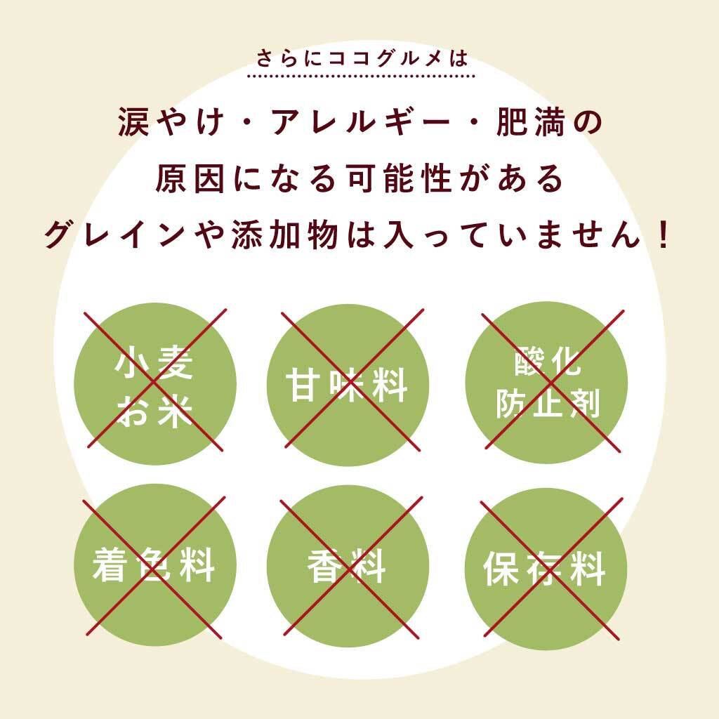 楽天市場】【クーポンで20%OFF】ココグルメ 手作りドッグフード 国産