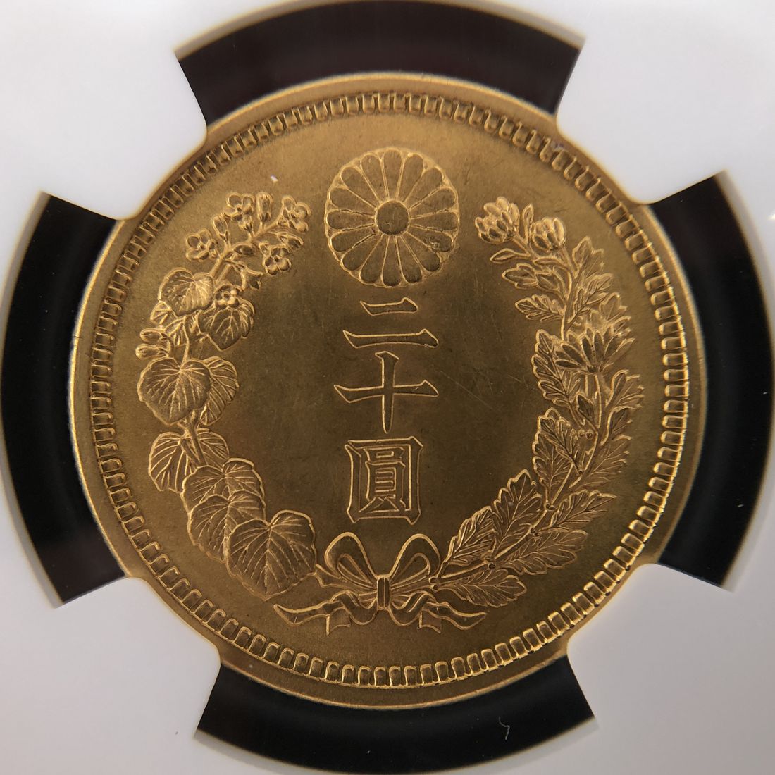 まひる：新二十圓金貨 大正6年 CAG鑑定品 MS64 ケース付き まひる：新
