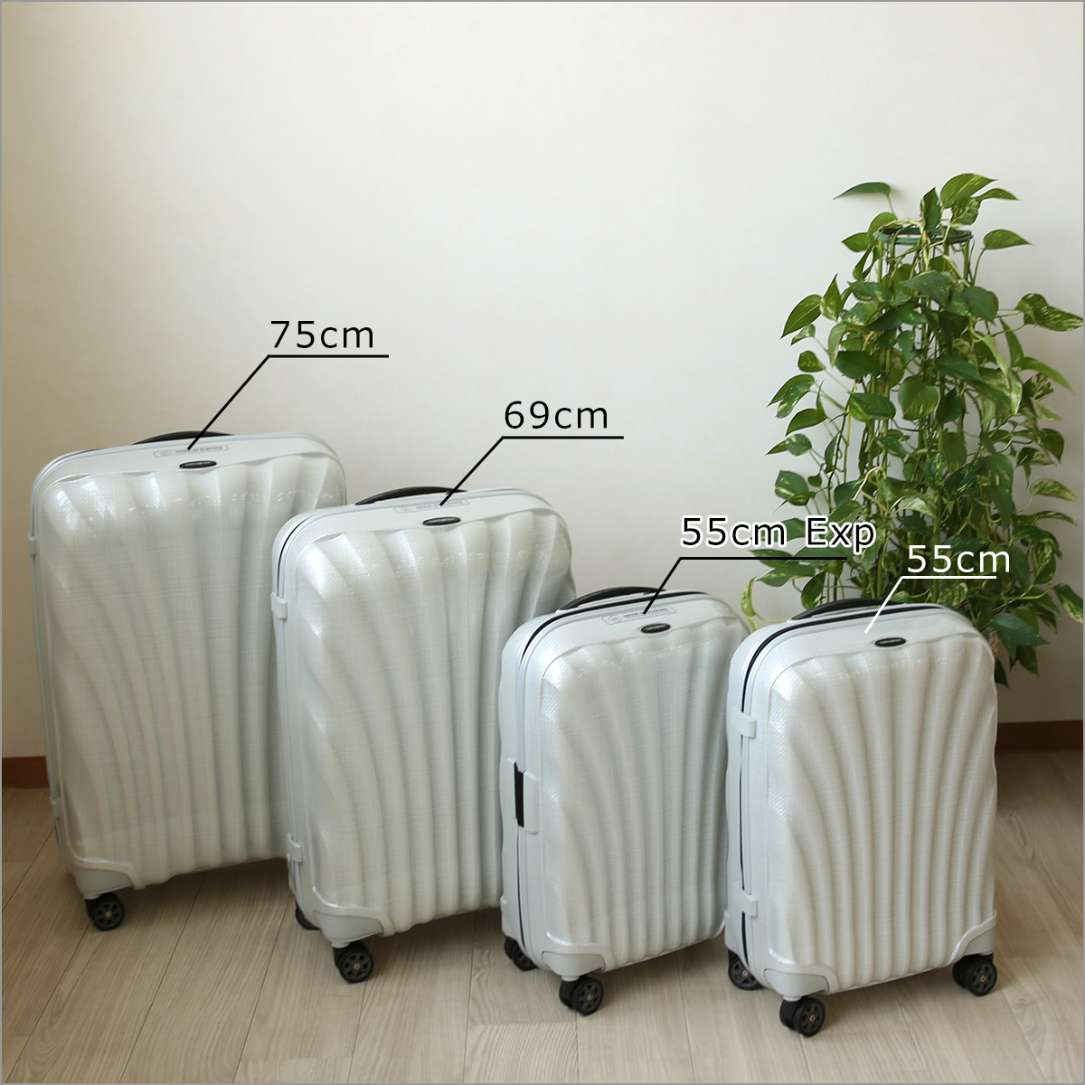 楽天市場】サムソナイト Samsonite C-Lite Spinner 55 シーライト