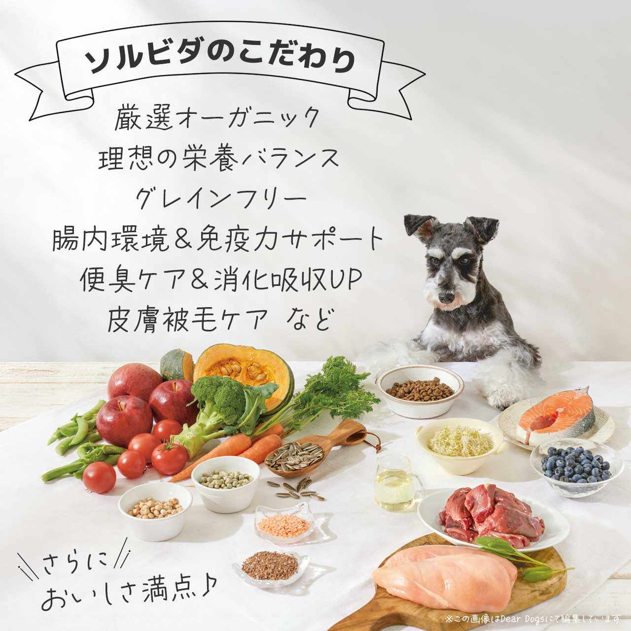 楽天市場】ソルビダ グレインフリー チキン 室内飼育 成犬用 3.6kg