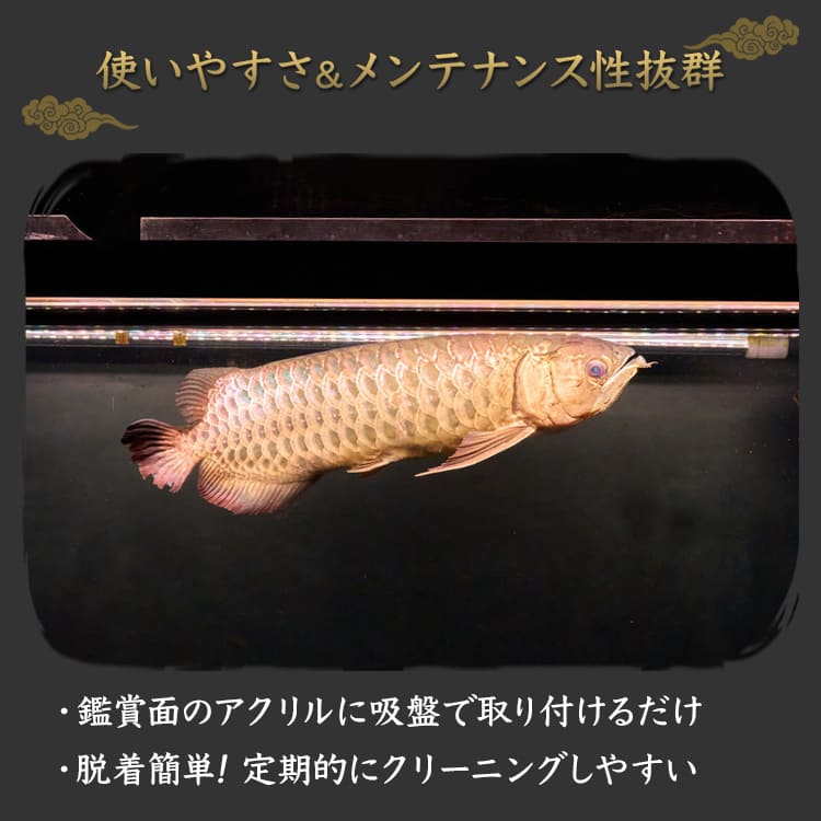 楽天市場】過背金龍 アロワナライト 水槽ライト 藍底金龍 熱帯魚ライト