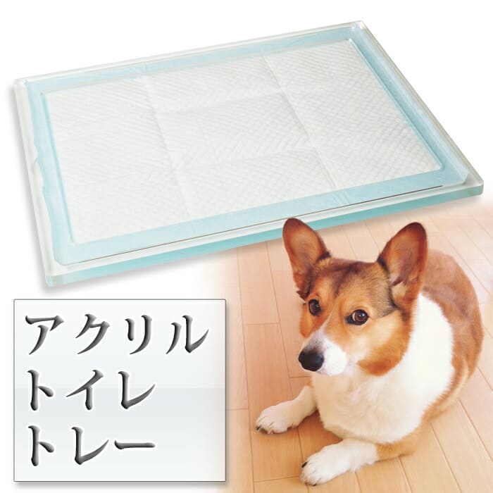 楽天市場】Kuai ペットトイレ トレー 犬 アクリル Sサイズ 犬用トイレ