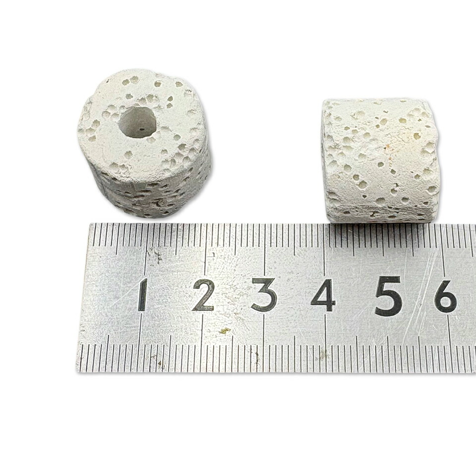 楽天市場】セラミックリングろ材 ろ過材 水槽用 観賞魚 濾過材料