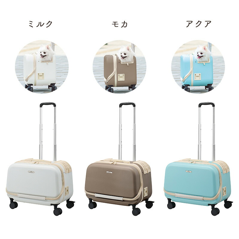 楽天市場】【0】 GEX OSOTO コロフィー M ミルク / モカ / アクア10kg