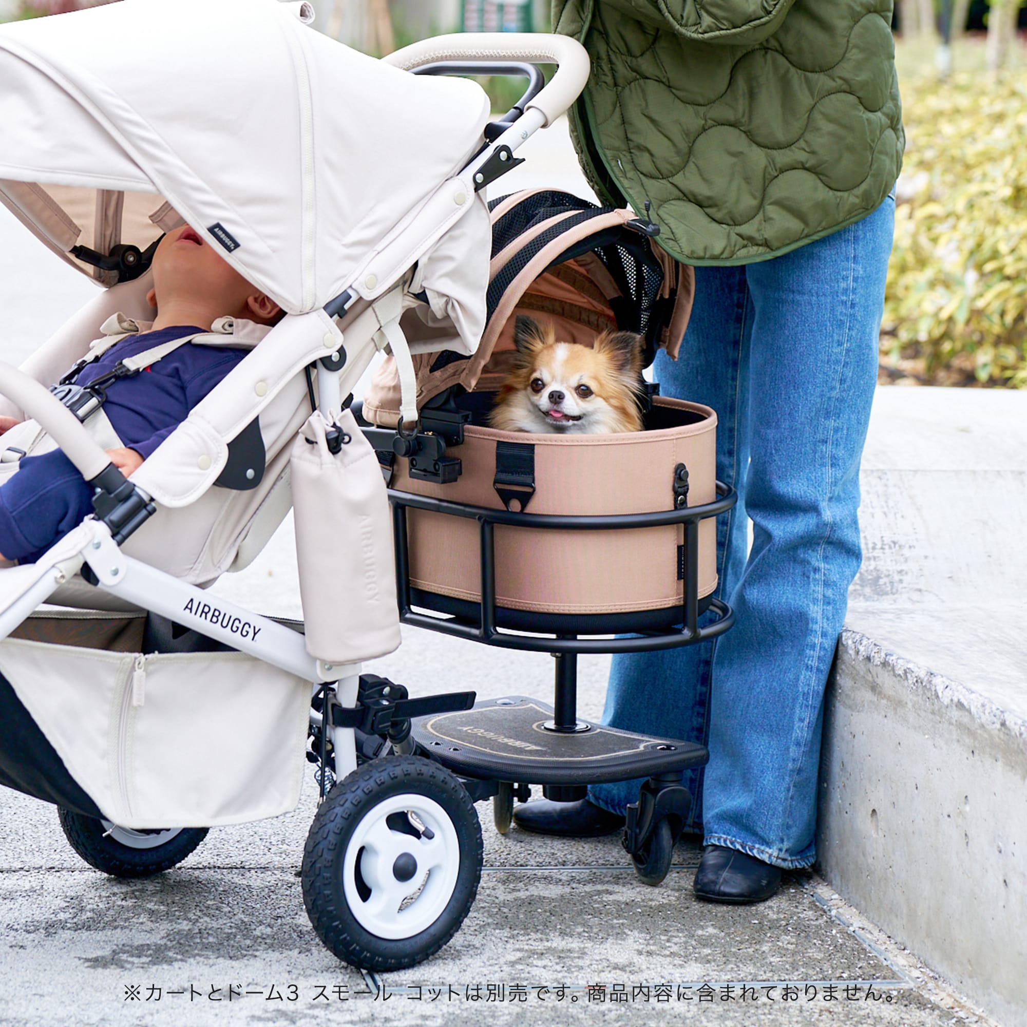 楽天市場】【公式】新発売 エアバギー ドーム3 スモール オンボード