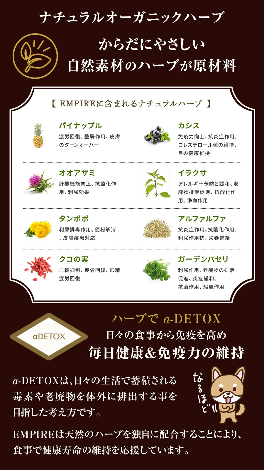 楽天市場】エンパイア EMPIRE アダルトデイリー 小粒 12kg