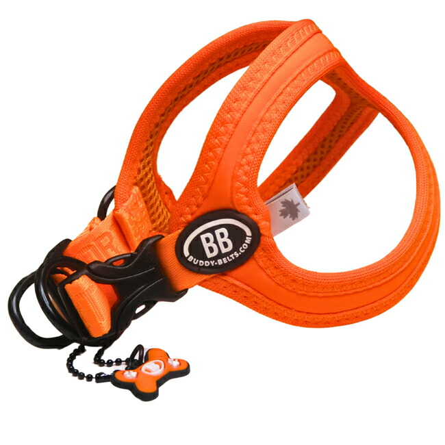 楽天市場】バディーベルト BBスポーツハーネス 3.5号 小型犬 ペット