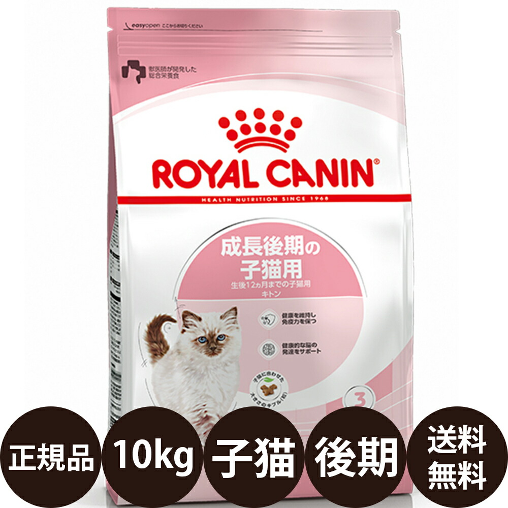 ロイヤルカナン FHN キトン 子猫用 10kg」の人気商品一覧 | 安い商品を