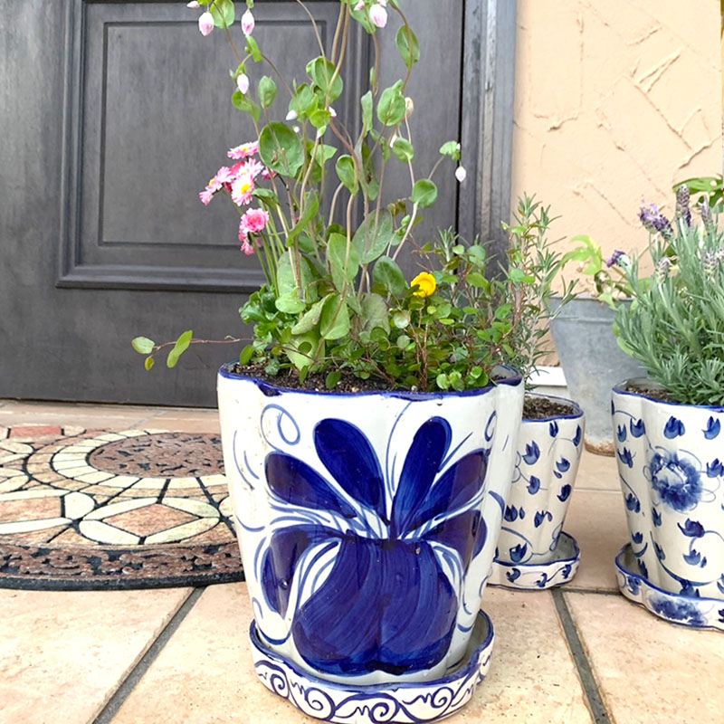 楽天市場】☆倉庫移転の為、総売り尽くしセール！ 割れのみ検品します