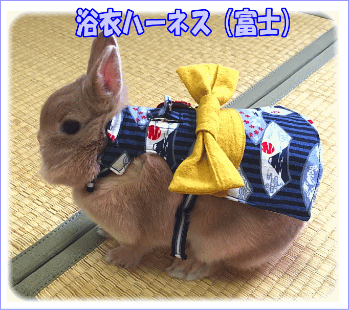 和風小動物用ハーネス うさぎ ウサギ 誕生日 記念日 お着物 袴