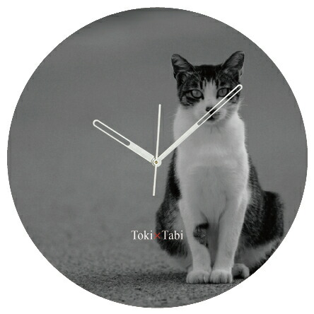 楽天市場】A+ (アクセントプラス) Toki×Tabi 大型掛け時計 60cm 猫の島