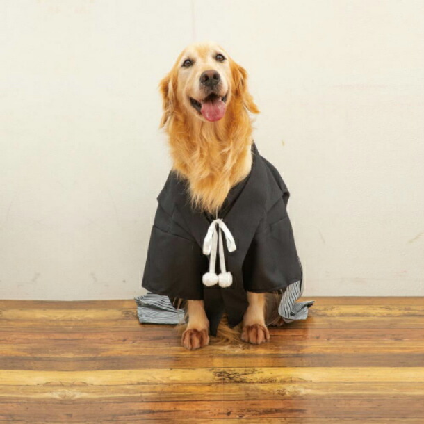 楽天市場】犬服 袴 中型犬 大型犬 羽織はかま 6号 7号 8号 お正月 結婚