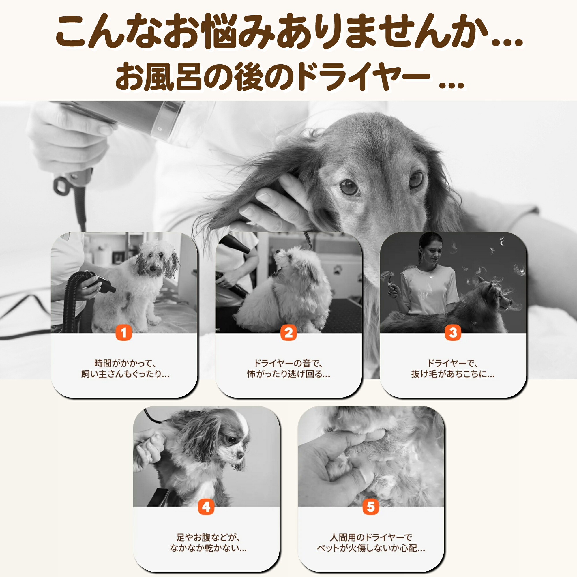 年末年始限定1万円引き‼️】Drybo Ultra ペット用ドライヤー 1度使用