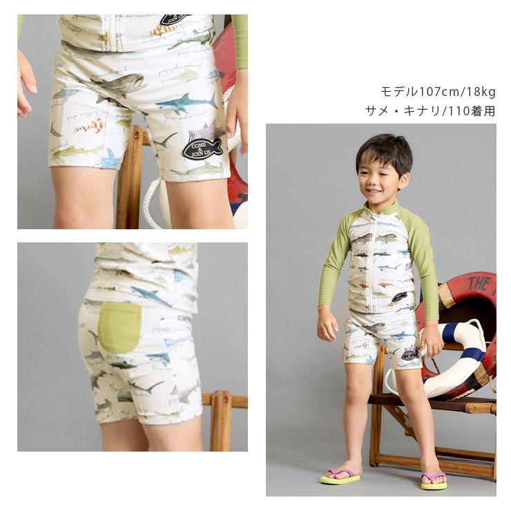 楽天市場】水着 ボクサー キッズ 男の子 スイムパンツ 切替 サメ柄