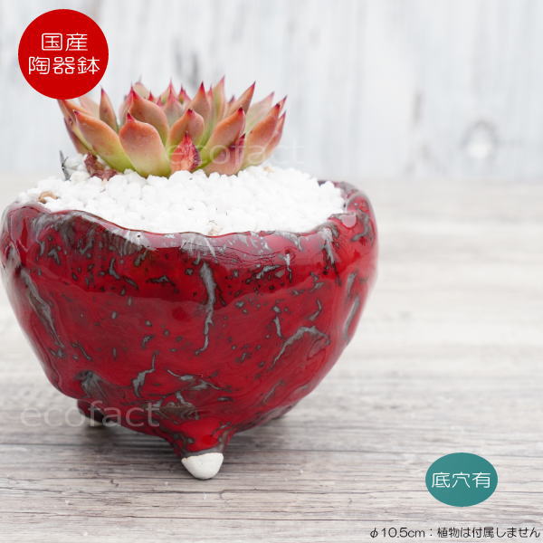 楽天市場】陶器鉢 植木鉢 ミニポット 底穴あり BUNGA POT マグマ（S