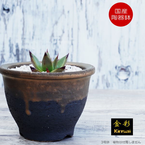 未使用品 信楽焼き 大きな ダックスフント 器 陶器 プランター 鉢 釉薬