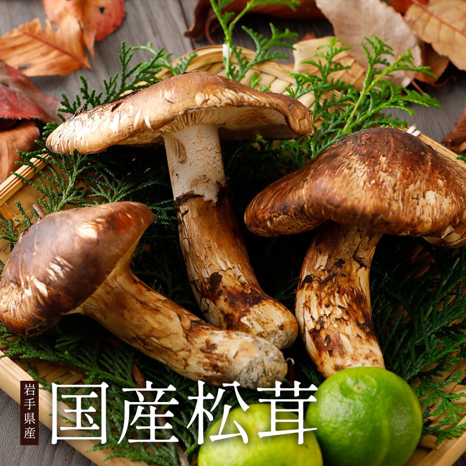北海道 松茸 300g ②松茸 北海道 300g ① 国産 松茸 北海道 300g ①
