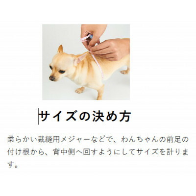 メガネハーネス【3Sサイズ】ローズグレージュ(本革製)kazama premium