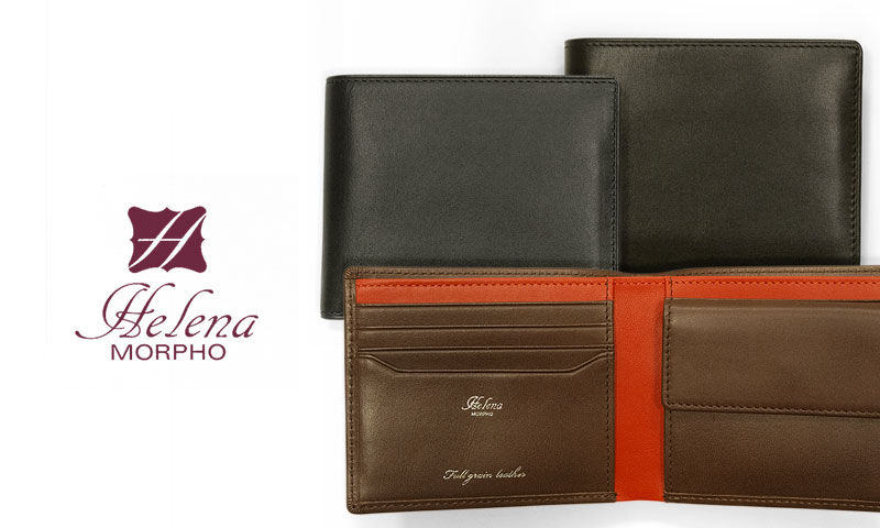 蝶の標本 ヘレナモルフォ ペルー産 ヘレナモルフォ1 120mm Morpho