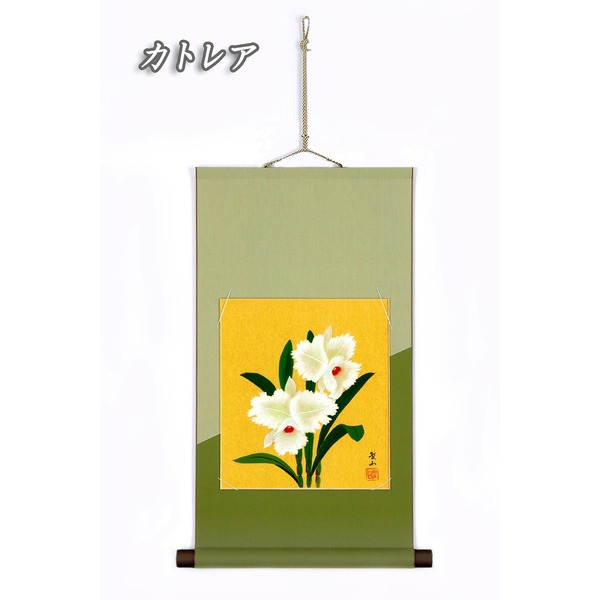 楽天市場】葛谷聖山の通販