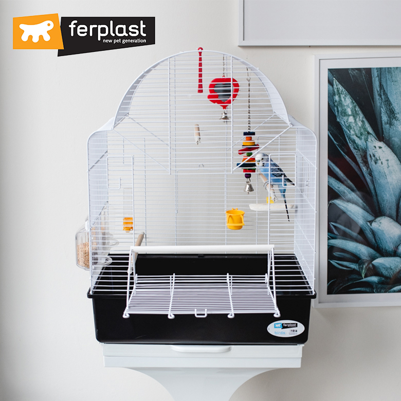 楽天市場】鳥かご イビザ オープン ホワイト Ibiza Open 鳥籠 ケージ