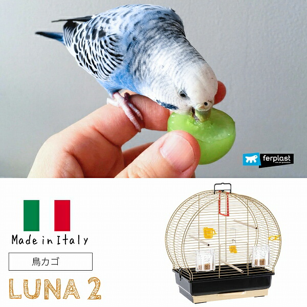 楽天市場】イタリアferplast社製 鳥かご ルナ 2 ゴールド Luna 2 鳥籠