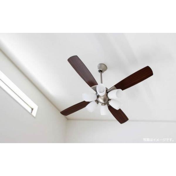 楽天市場】【全品3年保証】 シーリングファン シーリングファンライト