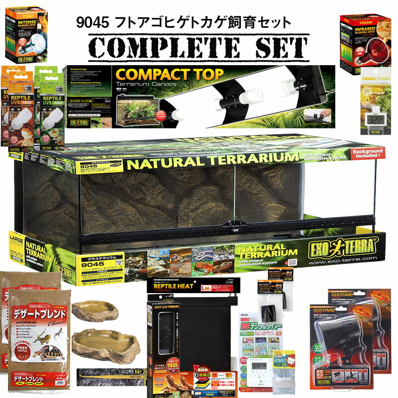 グラステラリウム6045をレビュー】爬虫類を飼うなら最強の飼育ケージ