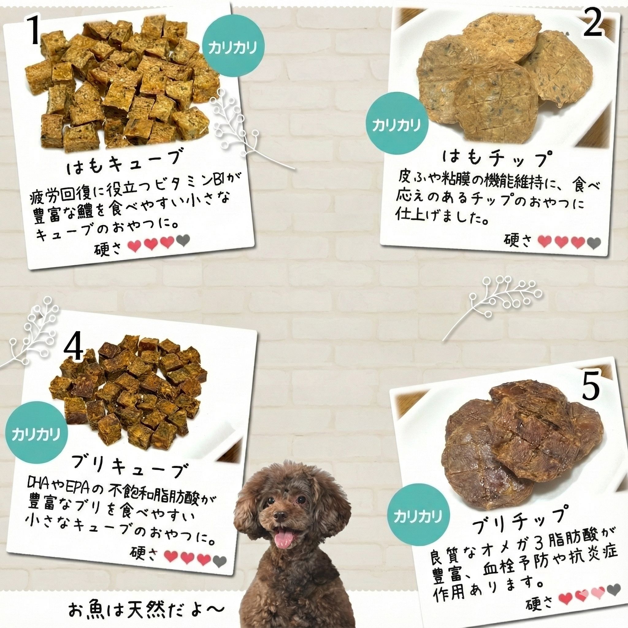 楽天市場】犬 おやつ 無添加 国産 選べる5個セット どっぐふーどる