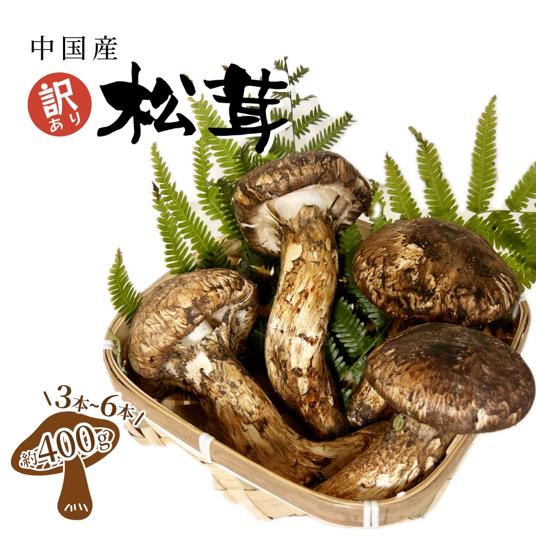 松茸 北海道 800g 訳あり ② 送料込 松茸 北海道 800g 訳あり 送料込 ②