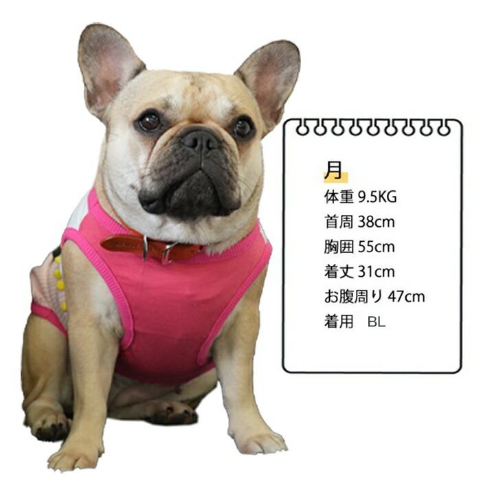 楽天市場】買わなきゃ損!! フレブル タンクトップ フレンチブルドッグ